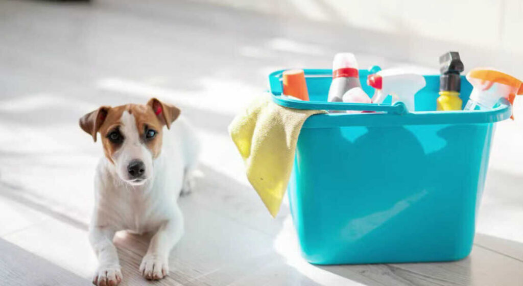 Best Eco-Friendly Cleaning Tips for Pet Owners